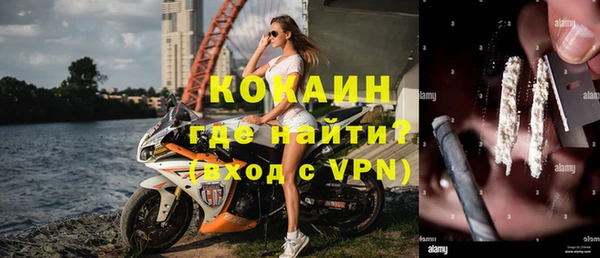 прущие грибы Зуевка